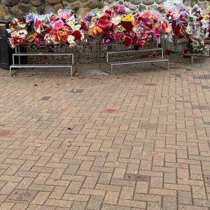 Meet your Posher, Sari